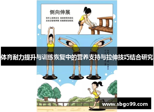 体育耐力提升与训练恢复中的营养支持与拉伸技巧结合研究